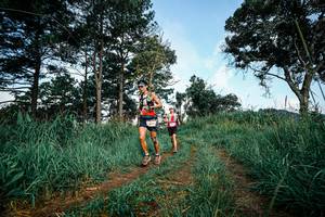 BIB: 
                            <button type="button" onclick="openModal(26016897)" class="btn btn-primary btn-sm float-right btn-popup" data-toggle="modal" data-target=".modal-high-quality">
                        <i class="fas fa-shopping-cart"></i> Add to Cart
                    </button>
                                            <button type="button" onclick="isThisMe(26016897, true)" class="btn btn-success btn-sm float-right btn-popup btn-isme hidden" data-toggle="tooltip" data-placement="bottom" title="นี่คือรูปของคุณใช่ไหม คลิกที่นี่เพื่อเอาเข้าอัลบั้ม">
                        <i class="fas fa-plus"></i> Add to album
                    </button>
                    <button type="button" onclick="isThisMe(26016897, false)" class="btn btn-warning btn-sm float-right btn-popup btn-isnotme hidden">
                        <i class="fas fa-ban"></i> Remove from album
                    </button>